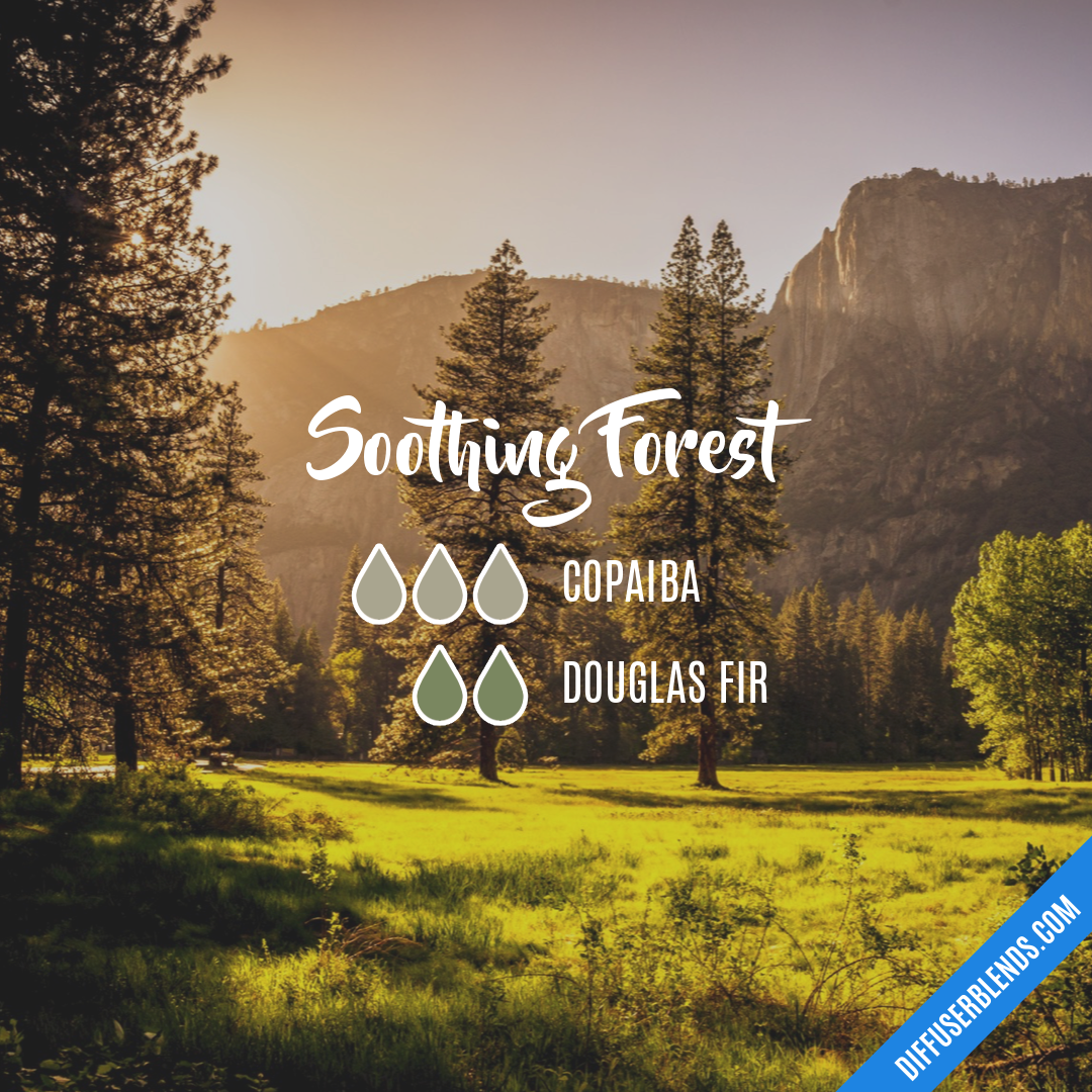 Soothing Forest — Essential Oil Diffuser Blend