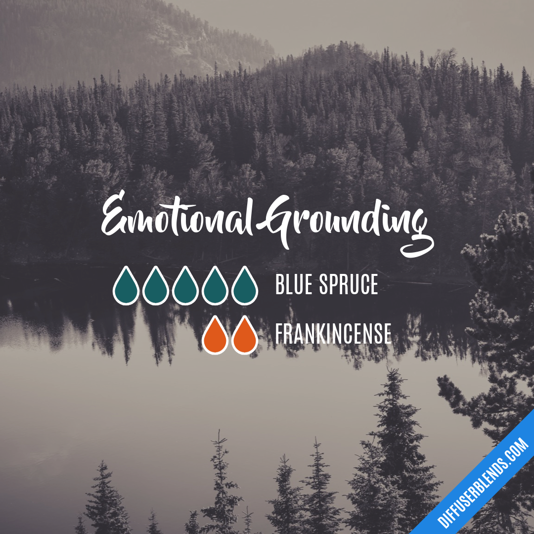 Emotional Grounding — Essential Oil Diffuser Blend