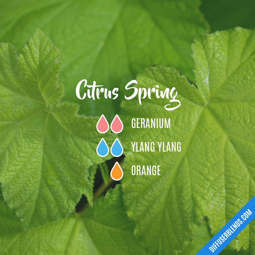 Citrus Spring — Essential Oil Diffuser Blend