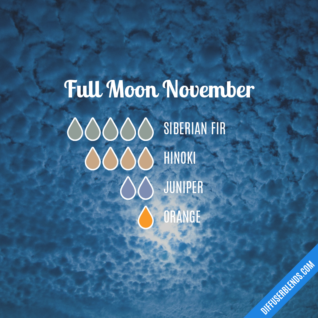 Full Moon November — Essential Oil Diffuser Blend