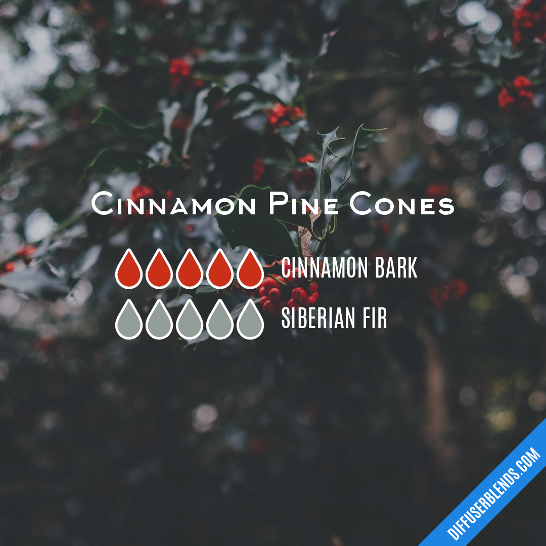 Cinnamon Pine Cones — Essential Oil Diffuser Blend