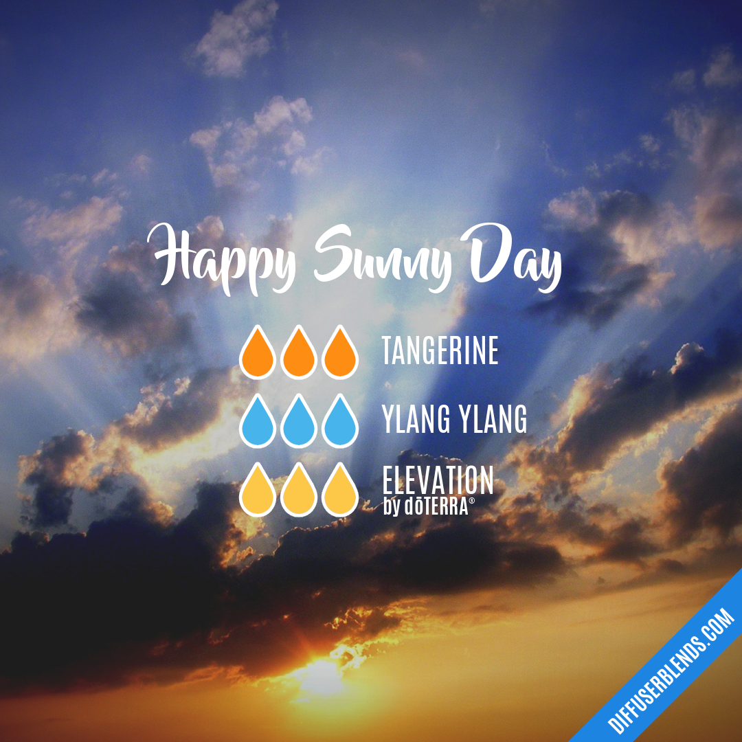 Happy Sunny Day — Essential Oil Diffuser Blend