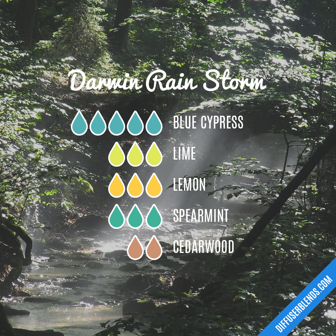 Darwin Rain Storm — Essential Oil Diffuser Blend