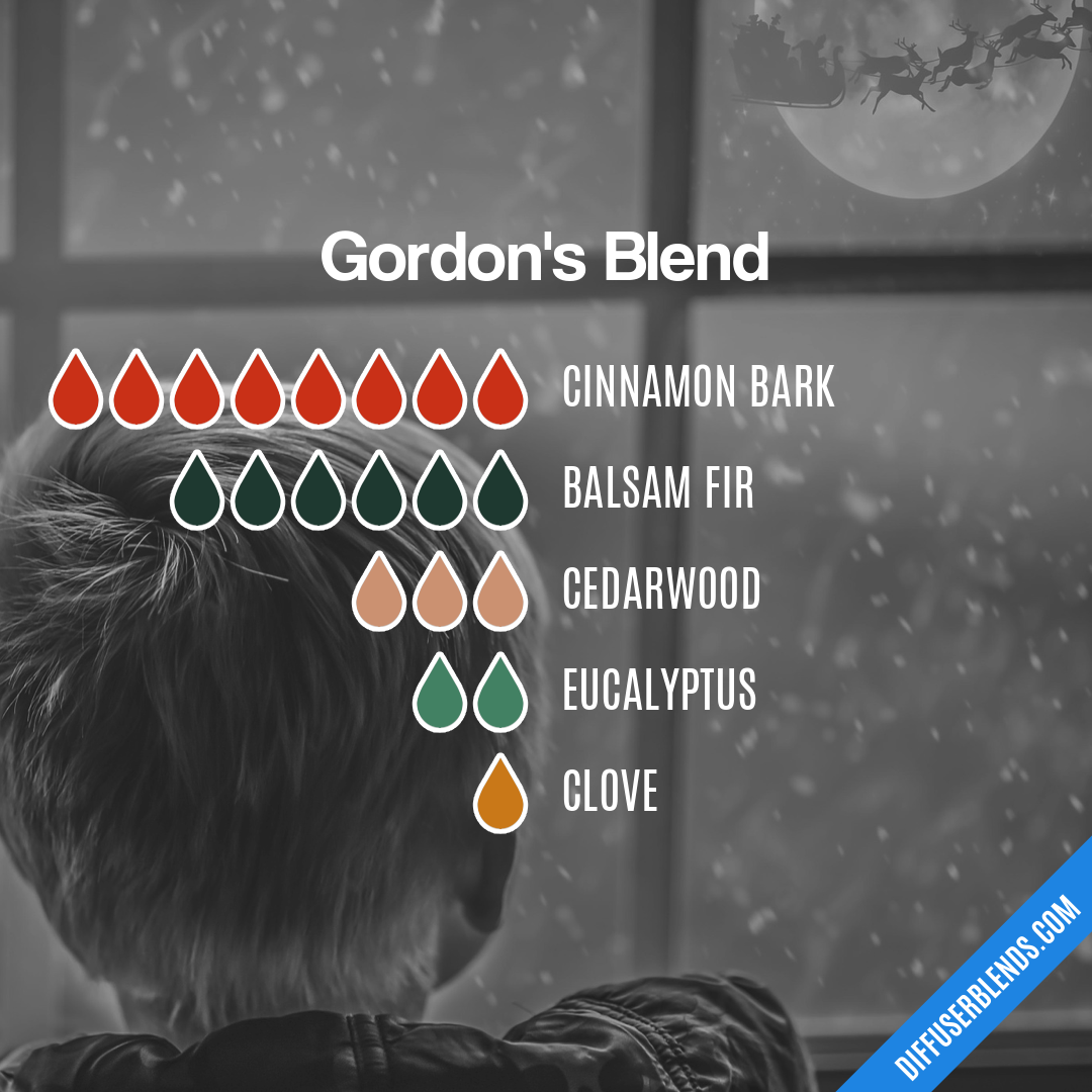 Gordon's Blend — Essential Oil Diffuser Blend