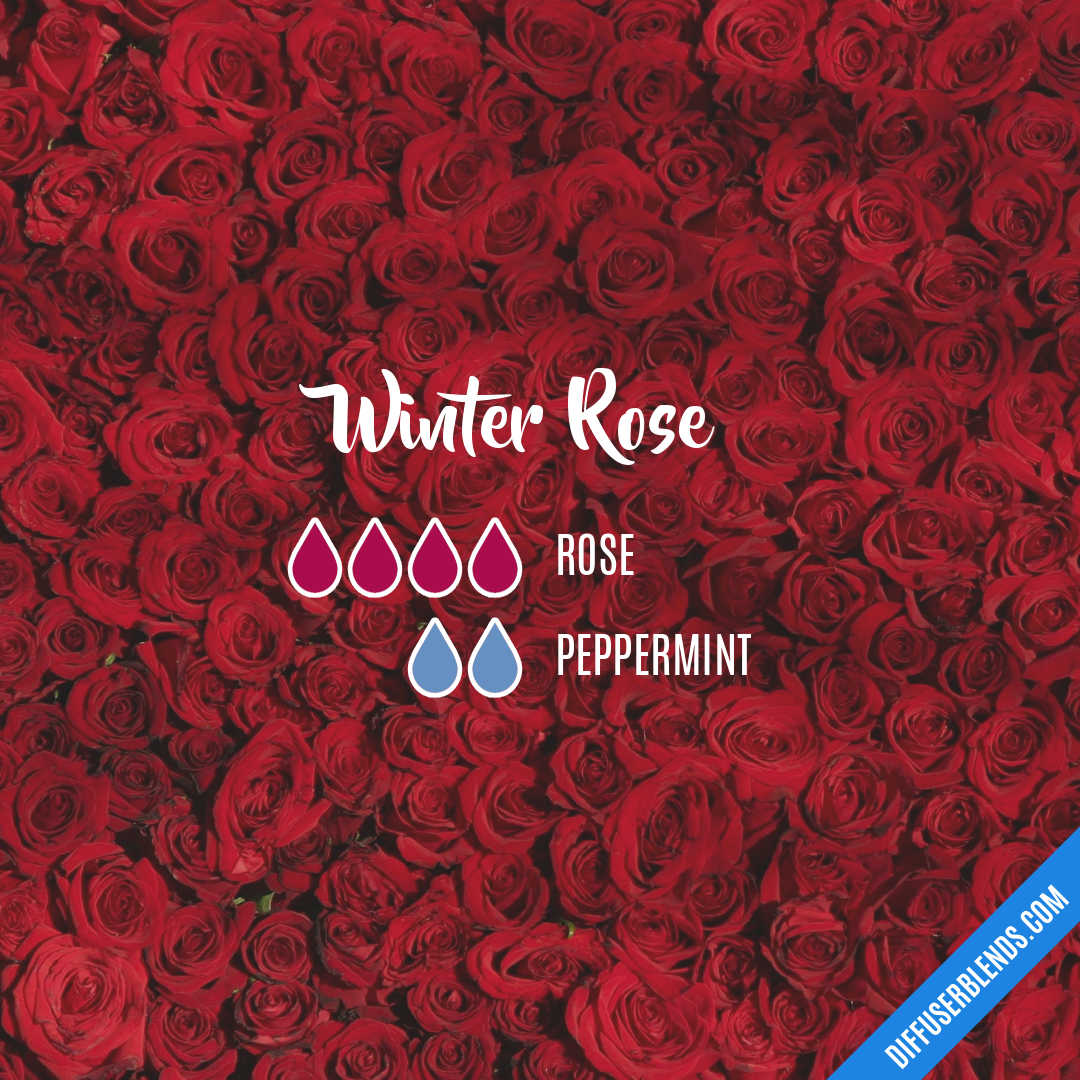 Winter Rose — Essential Oil Diffuser Blend