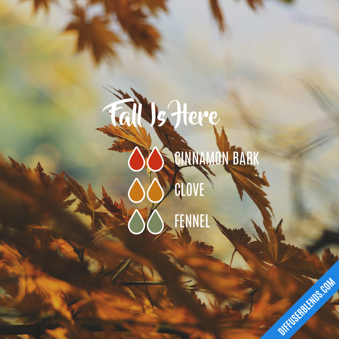 Fall Is Here — Essential Oil Diffuser Blend