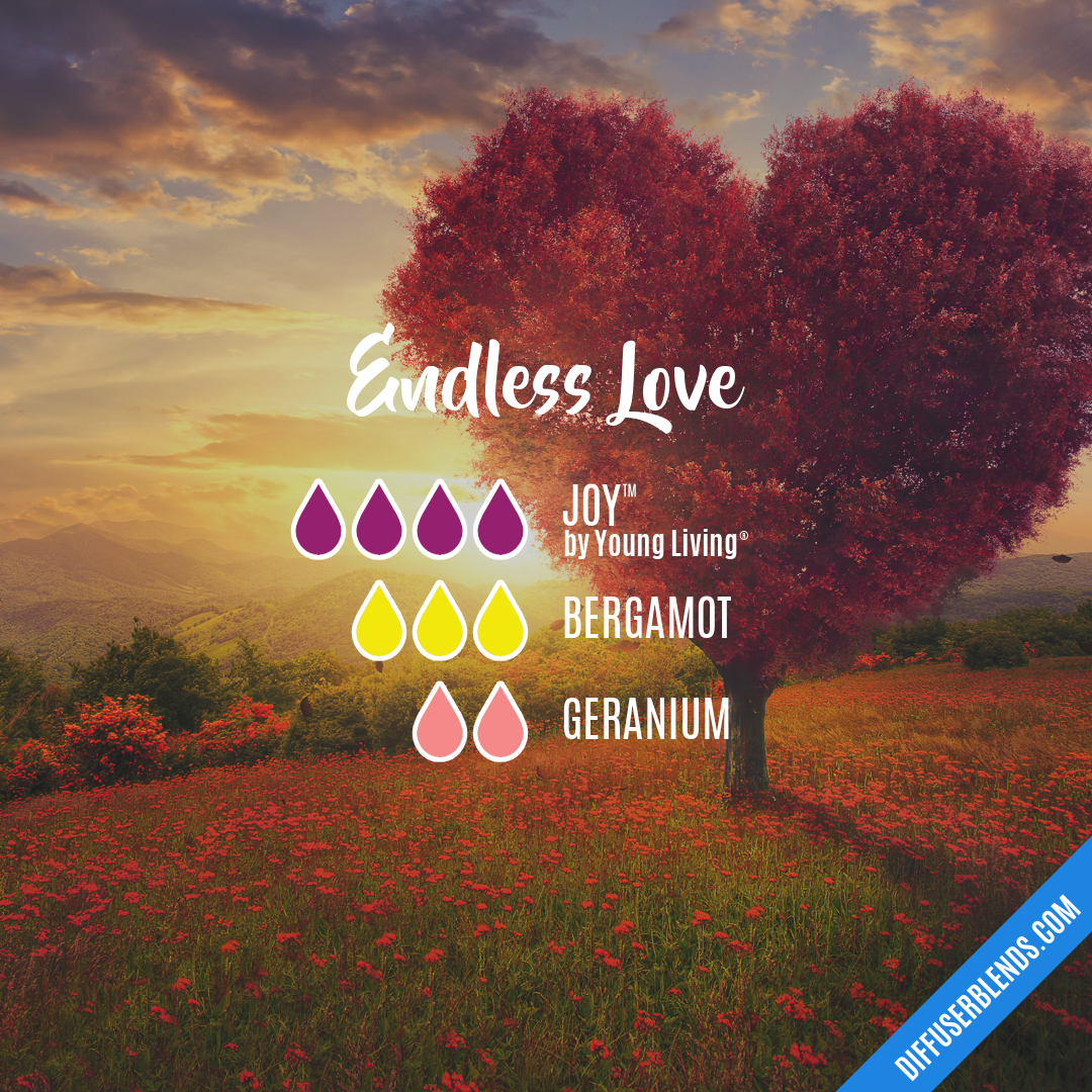 Endless Love — Essential Oil Diffuser Blend