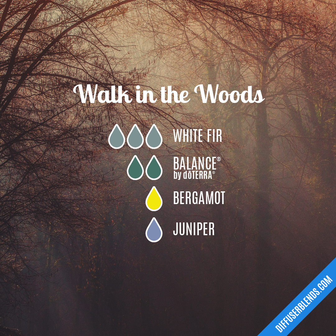 Walk in the Woods — Essential Oil Diffuser Blend