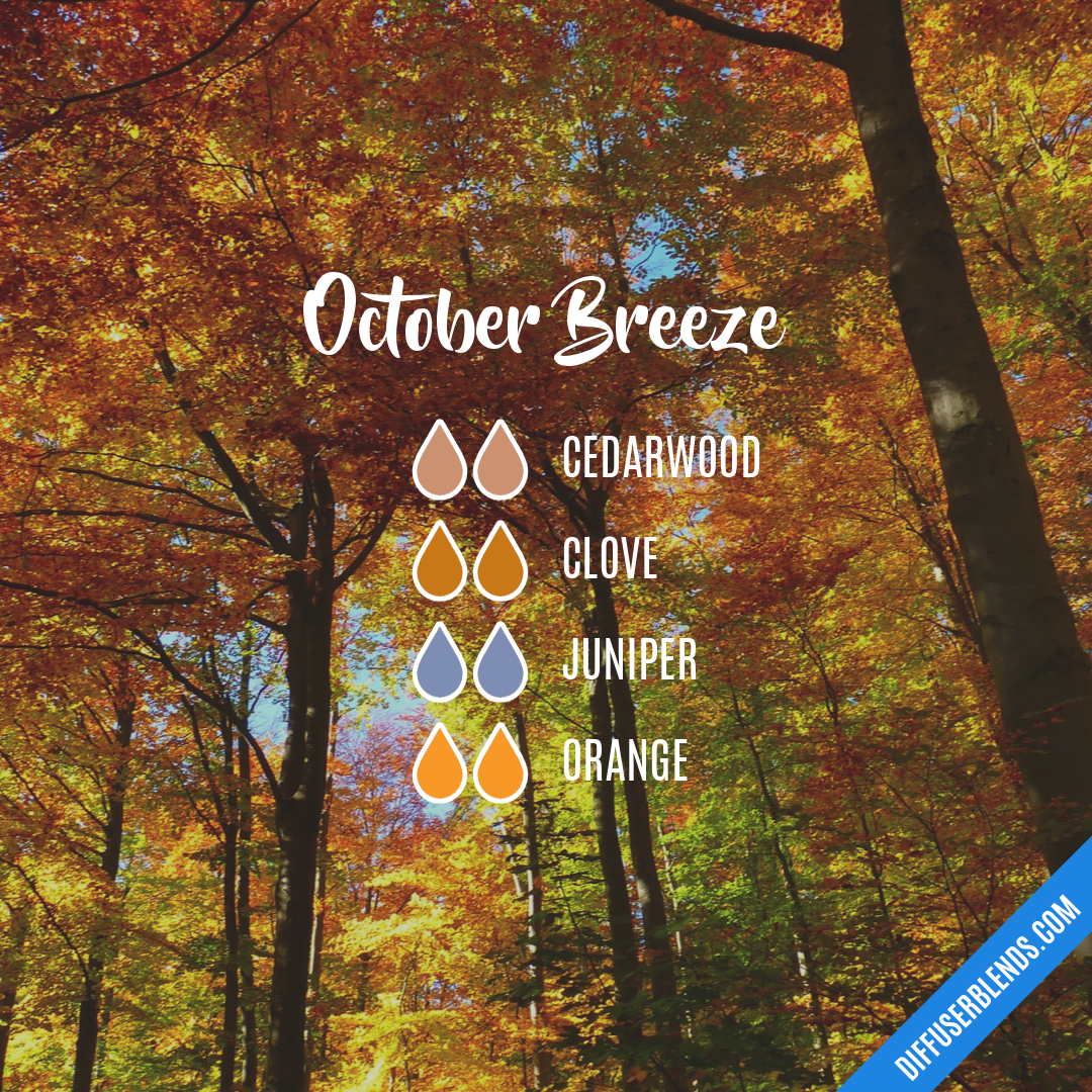 October Breeze — Essential Oil Diffuser Blend