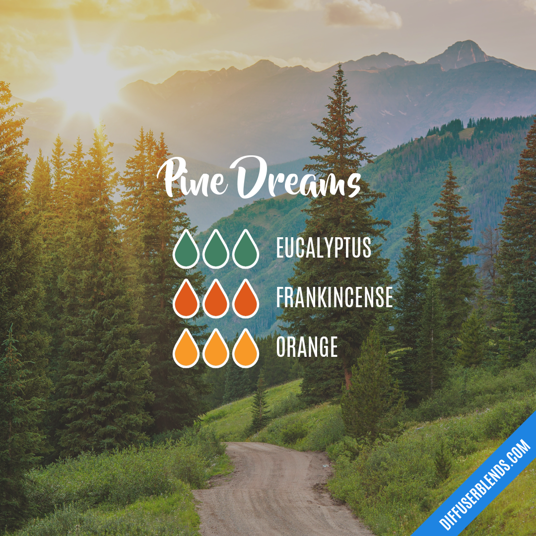 Pine Dreams — Essential Oil Diffuser Blend