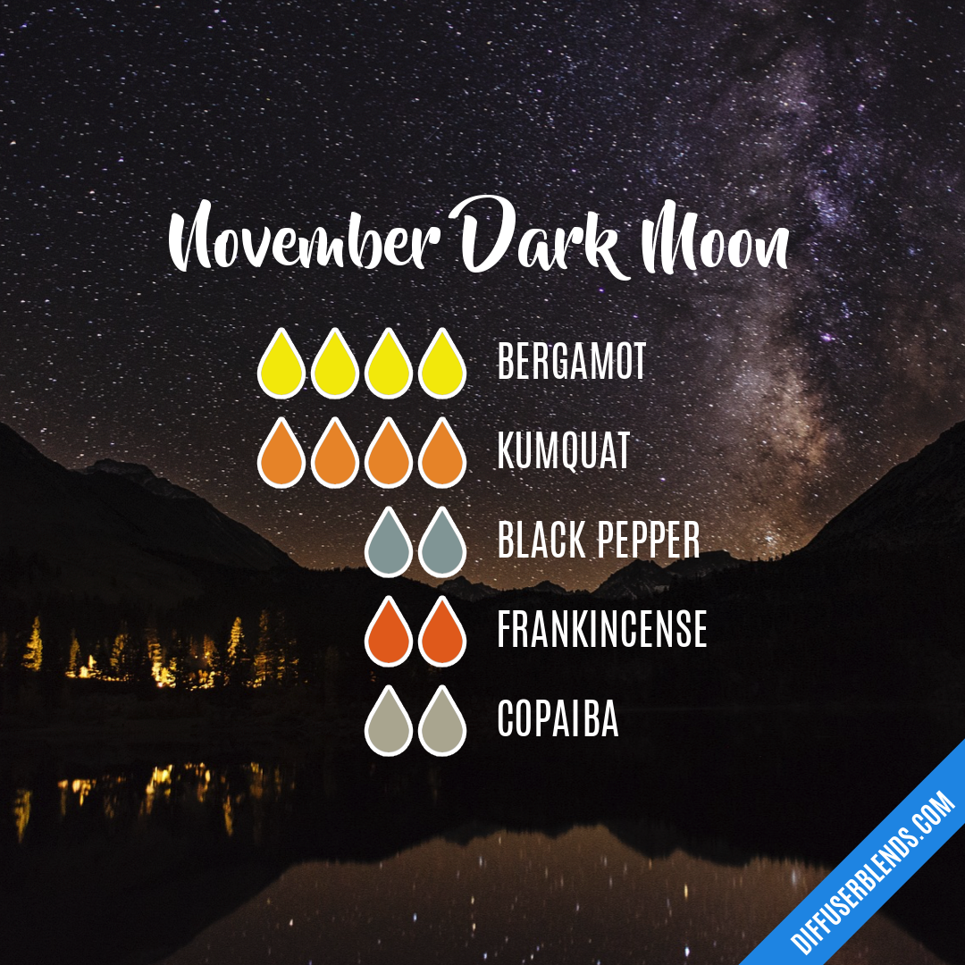 November Dark Moon — Essential Oil Diffuser Blend