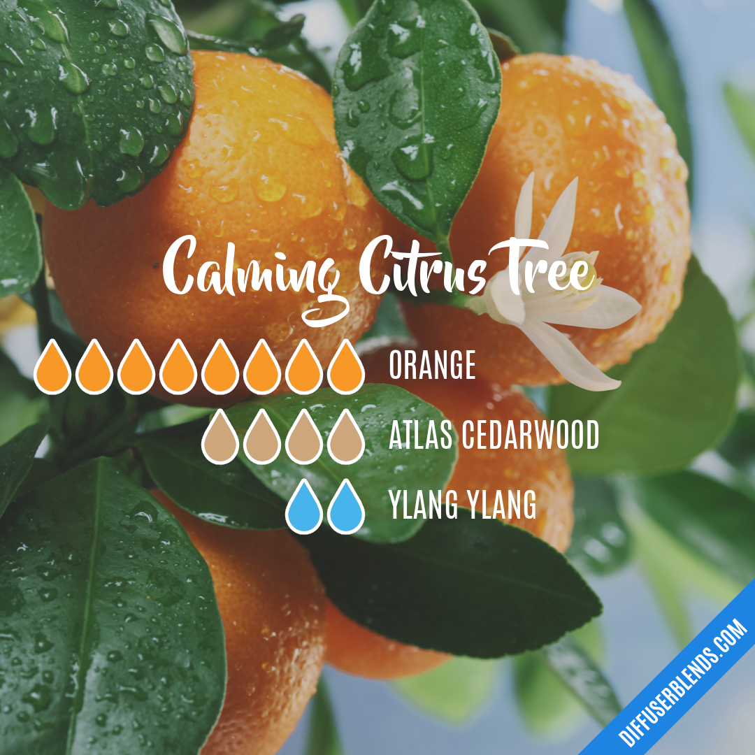 Calming Citrus Tree | DiffuserBlends.com