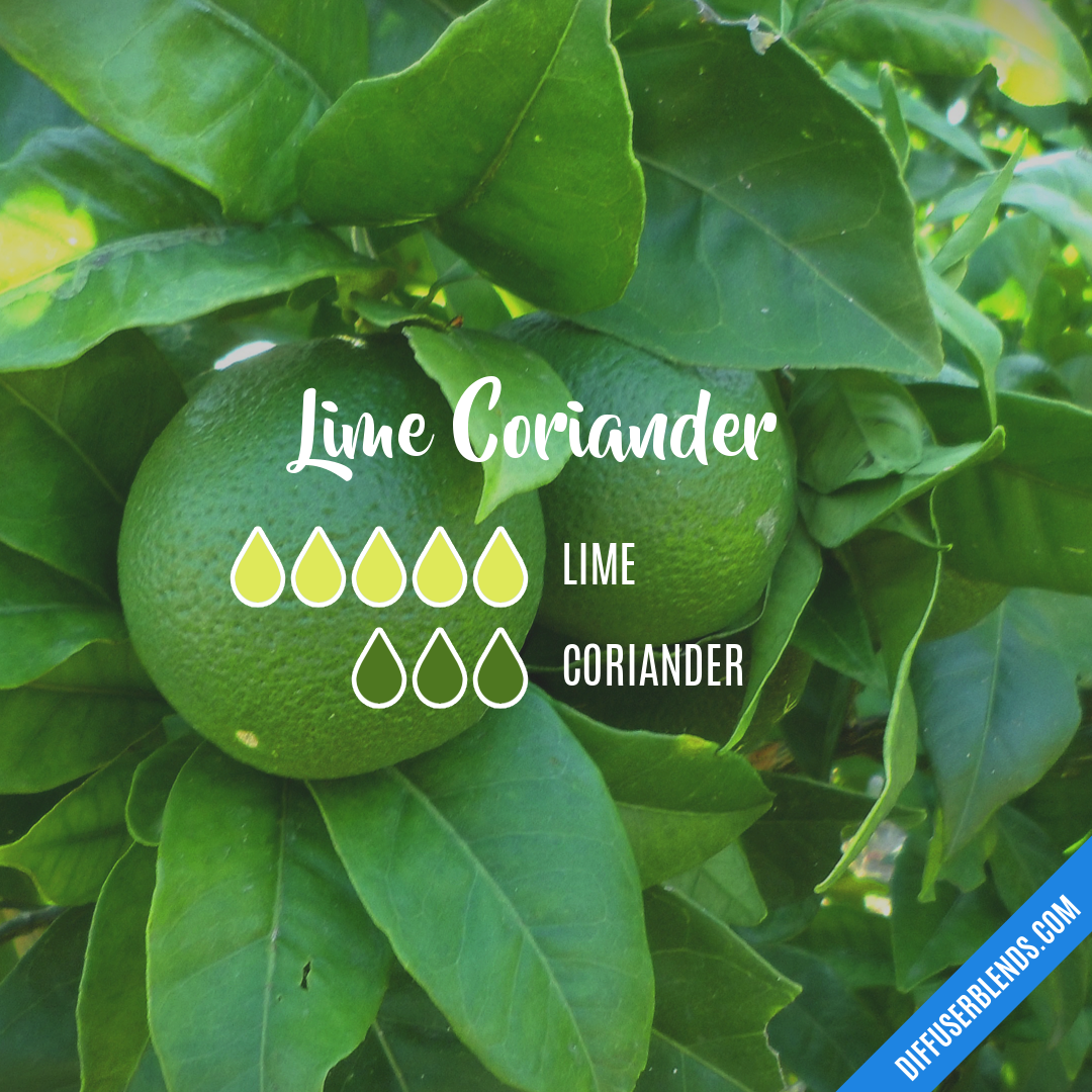 Lime Coriander — Essential Oil Diffuser Blend