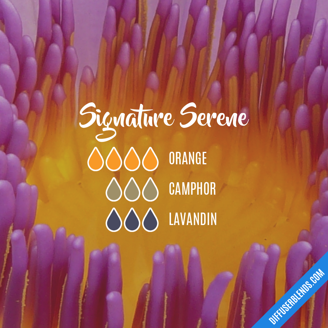 Signature Serene — Essential Oil Diffuser Blend