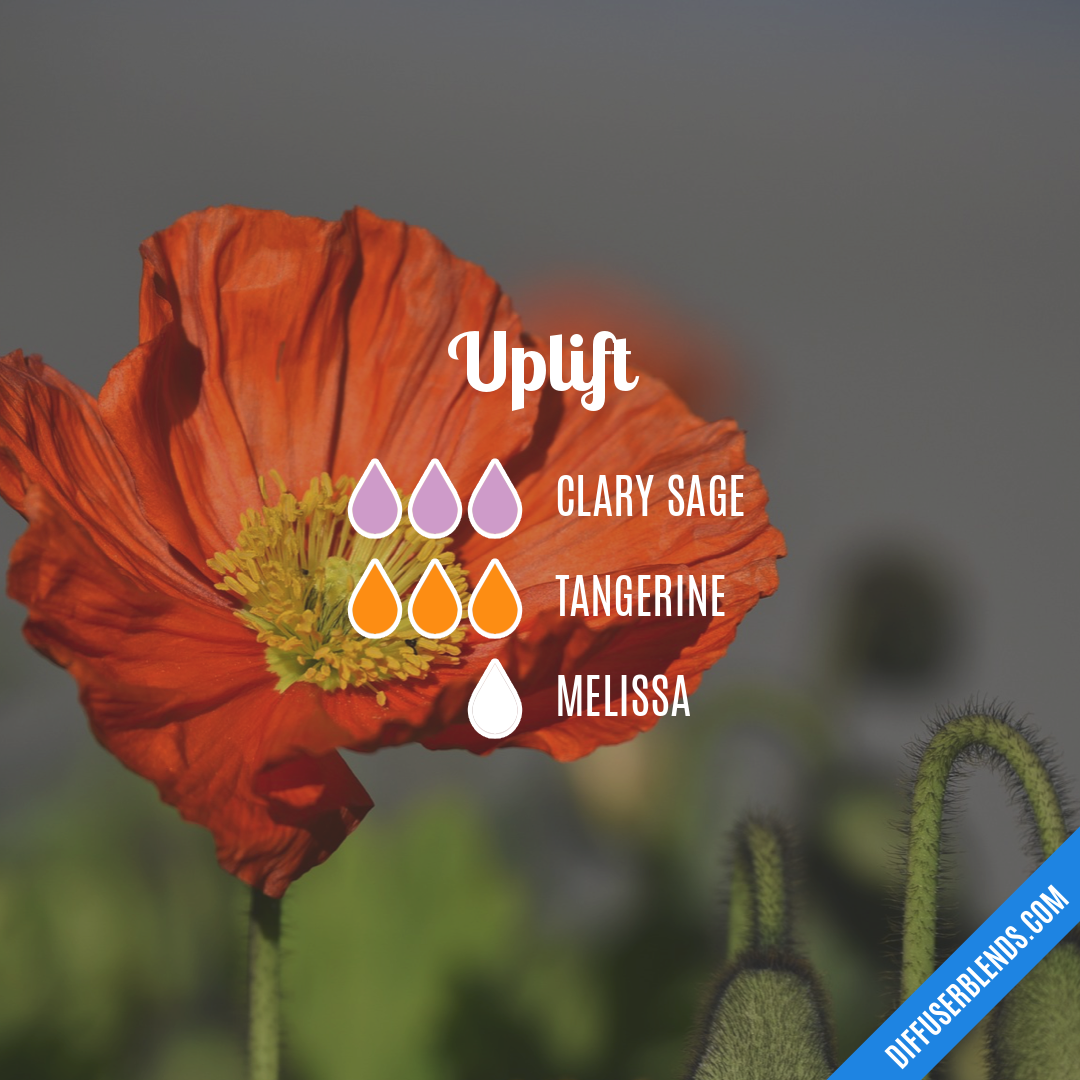 Uplift — Essential Oil Diffuser Blend