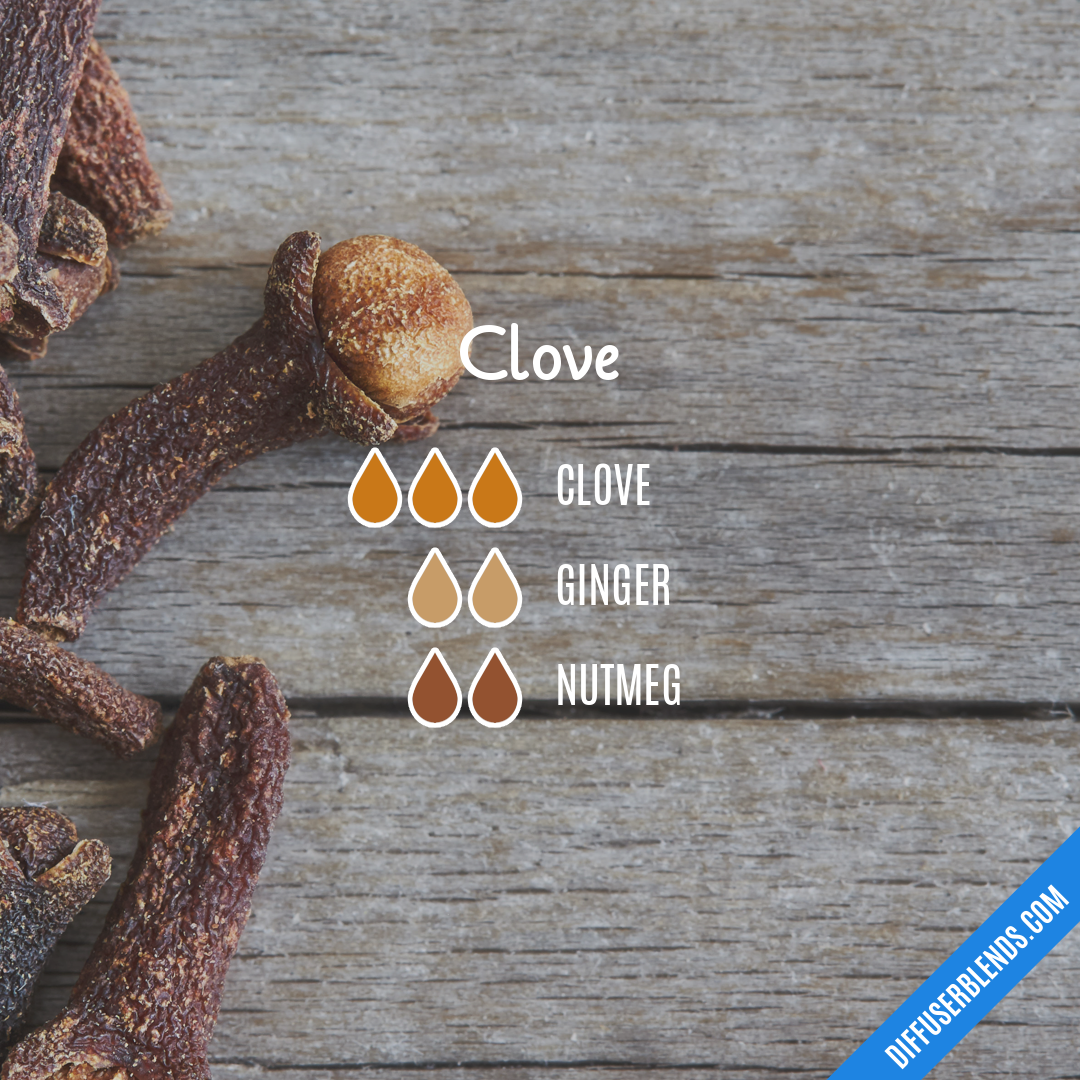 Clove — Essential Oil Diffuser Blend