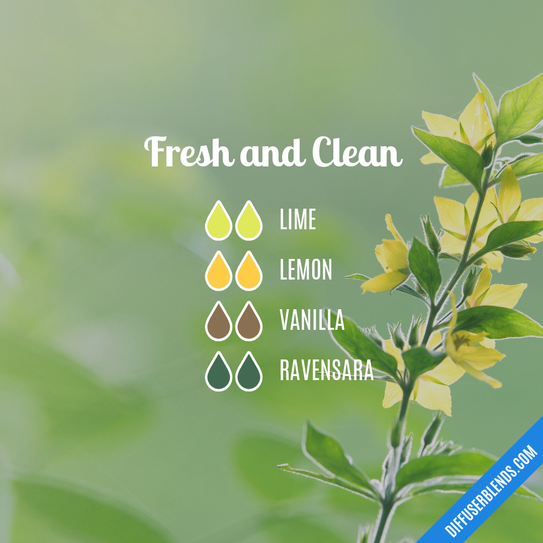 Fresh and Clean — Essential Oil Diffuser Blend