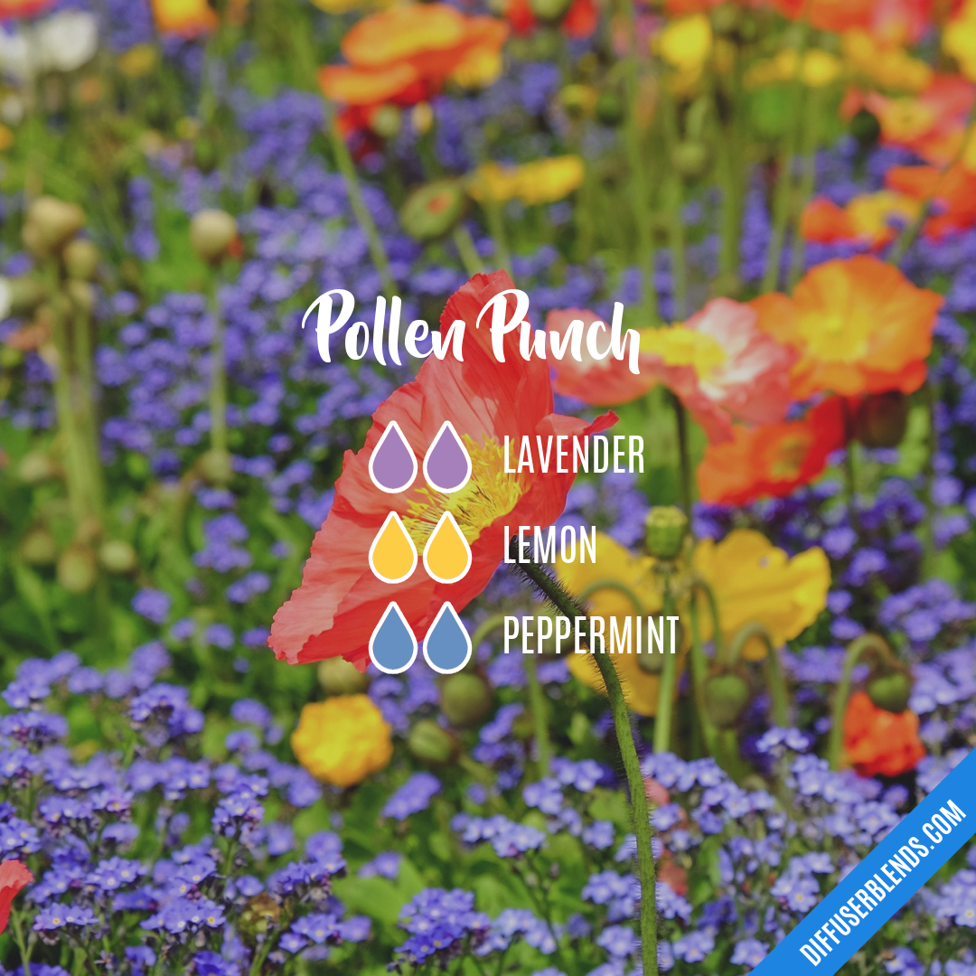 Pollen Punch — Essential Oil Diffuser Blend