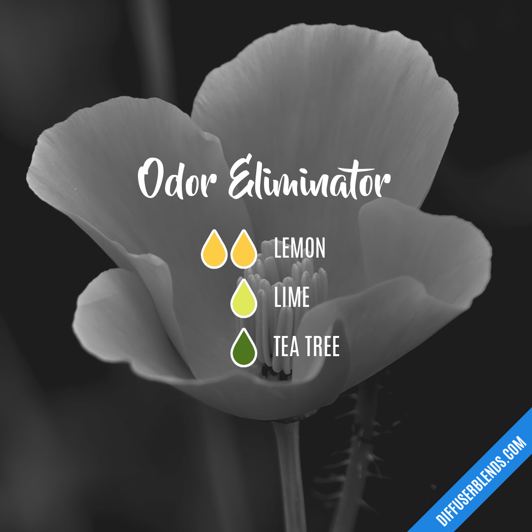 odor eliminator diffuser