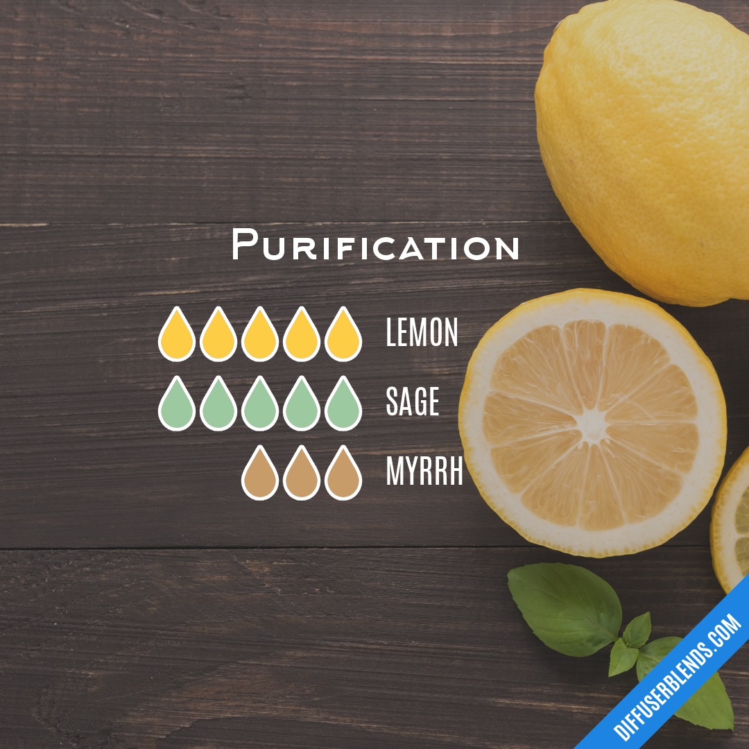 Purification — Essential Oil Diffuser Blend