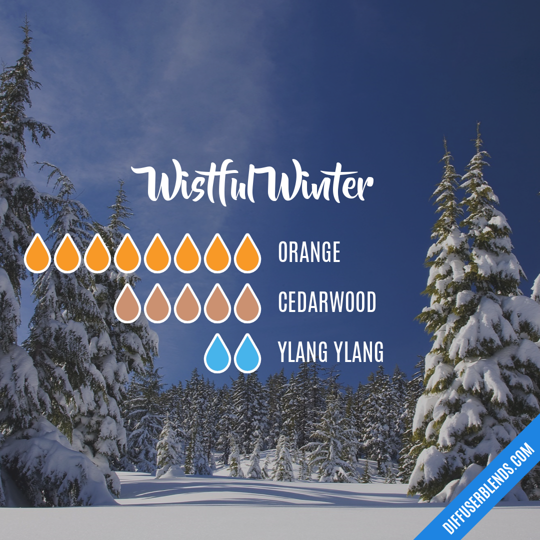 Wistful Winter — Essential Oil Diffuser Blend