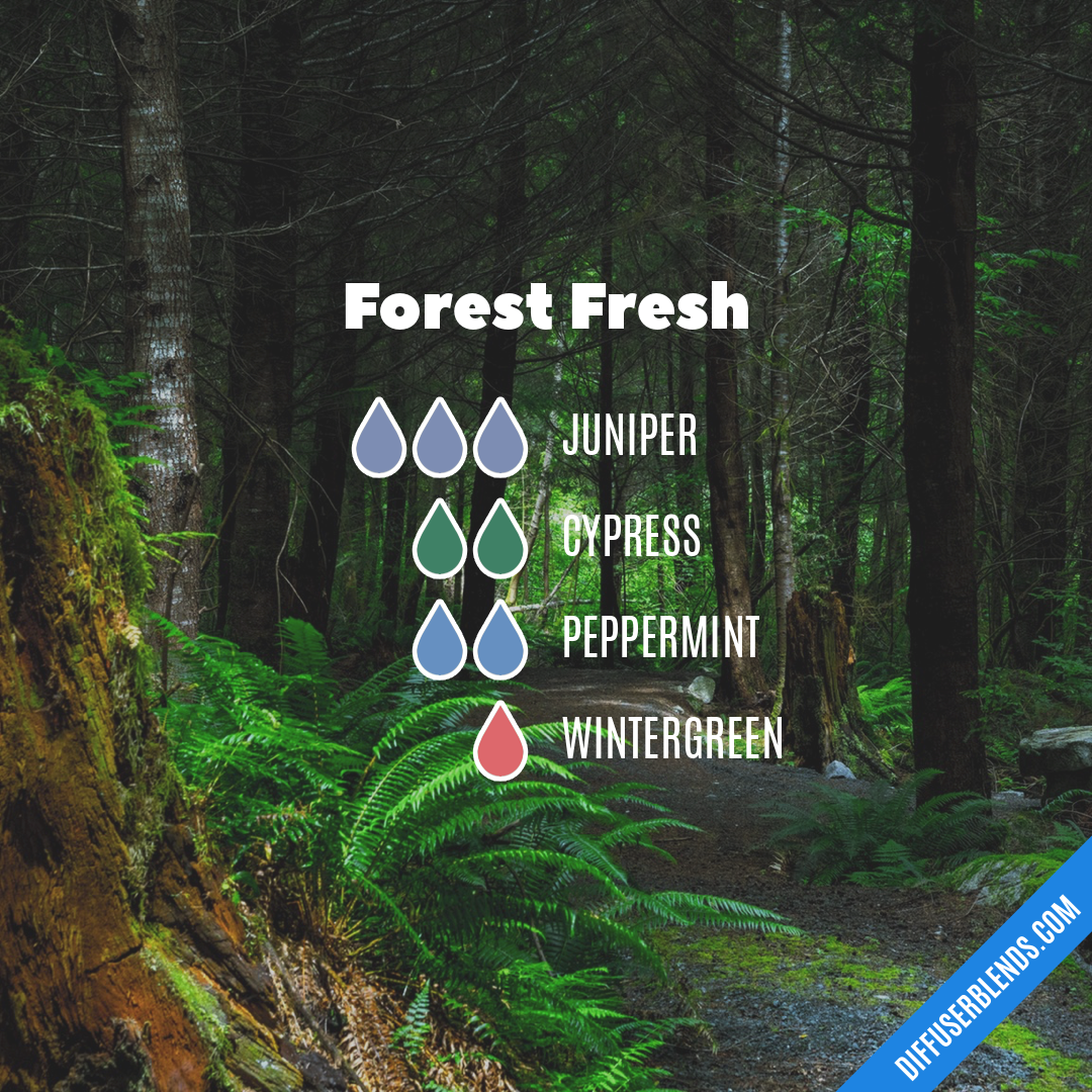 Forest Fresh — Essential Oil Diffuser Blend