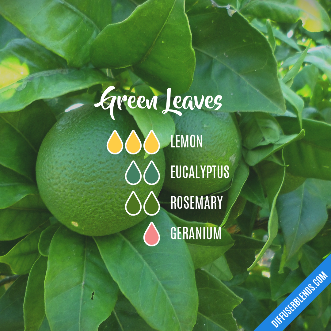 Green Leaves — Essential Oil Diffuser Blend