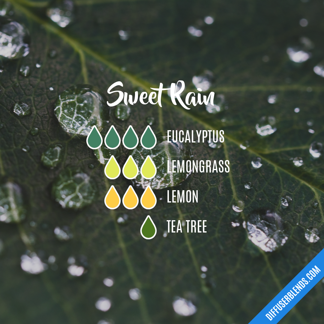 Sweet Rain | DiffuserBlends.com