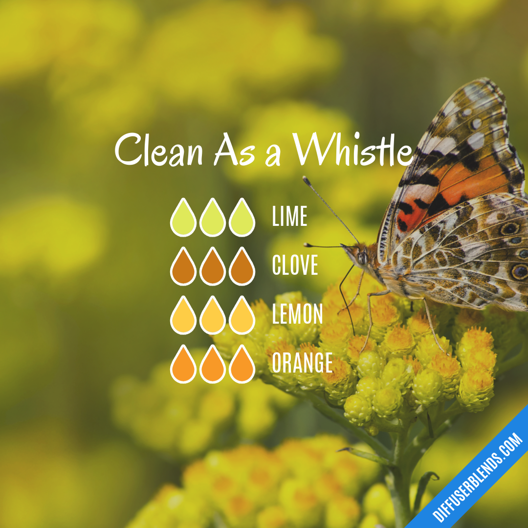 Clean As a Whistle — Essential Oil Diffuser Blend