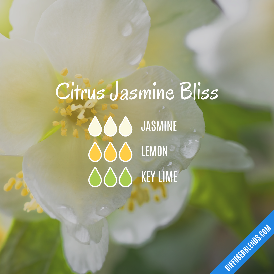 Citrus Jasmine Bliss — Essential Oil Diffuser Blend