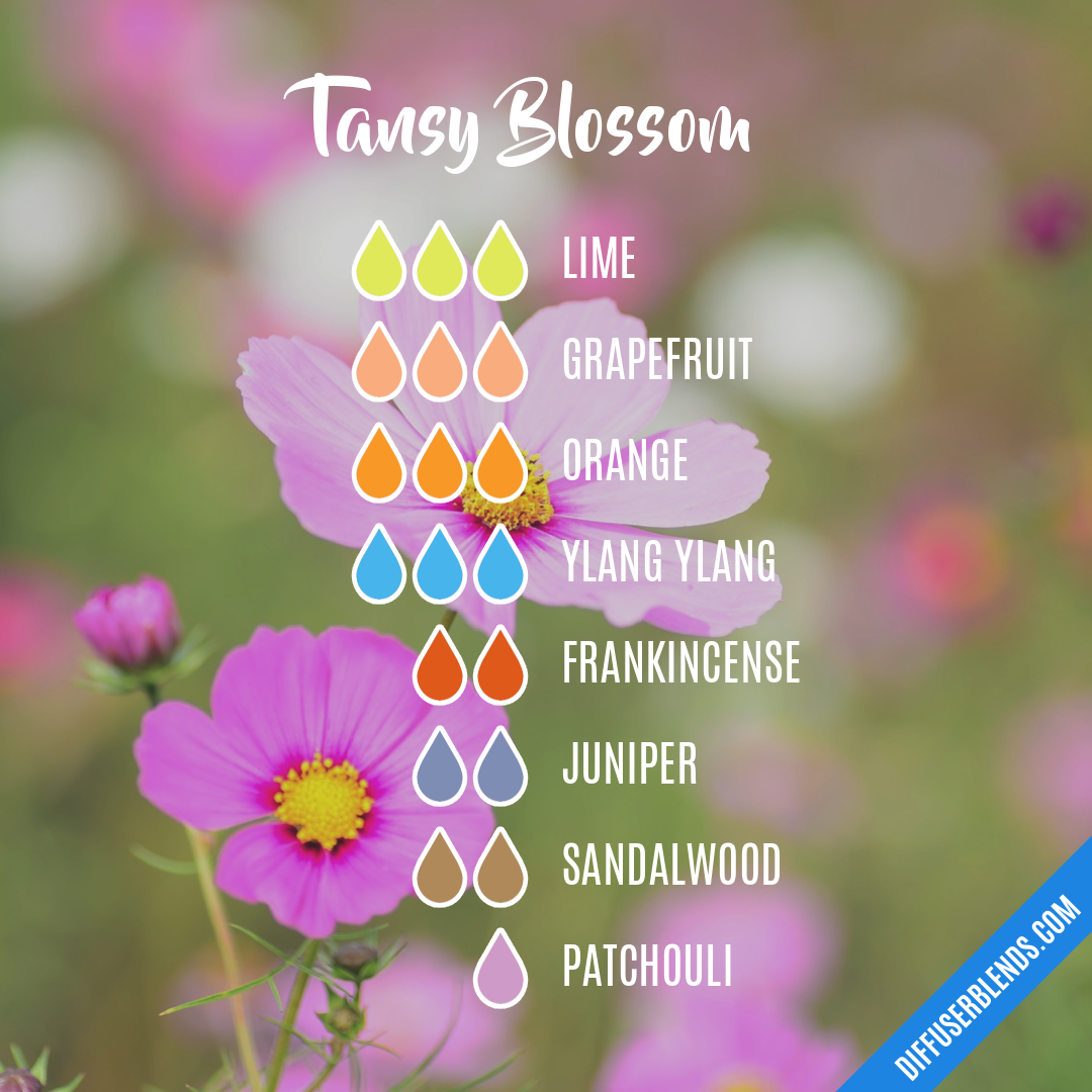 Tansy Blossom — Essential Oil Diffuser Blend