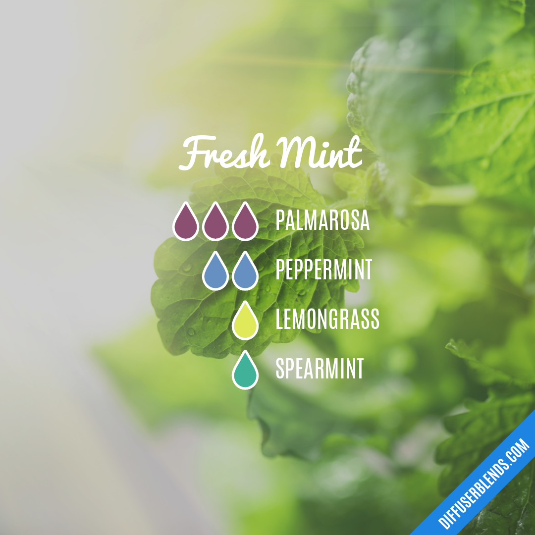 Fresh Mint | DiffuserBlends.com