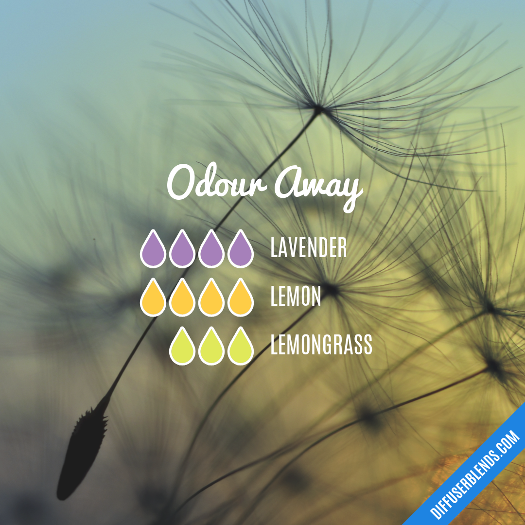 Odour Away — Essential Oil Diffuser Blend