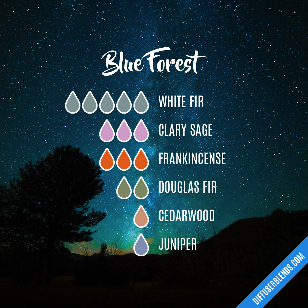 Blue Forest — Essential Oil Diffuser Blend