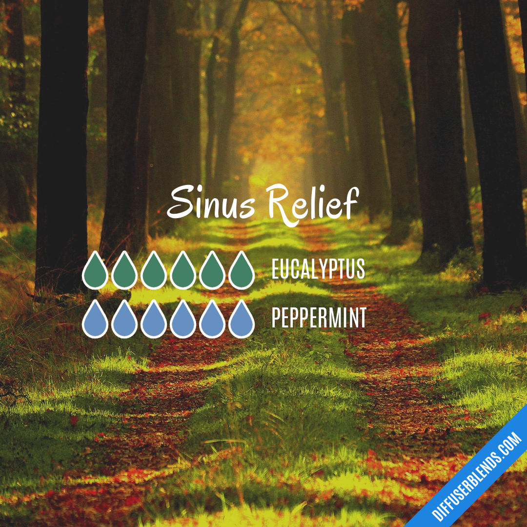 Sinus Relief — Essential Oil Diffuser Blend