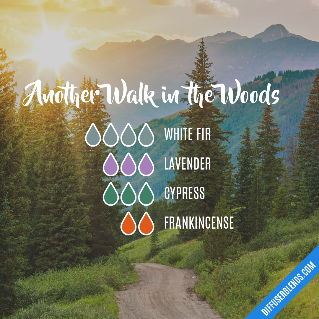 Another Walk in the Woods — Essential Oil Diffuser Blend