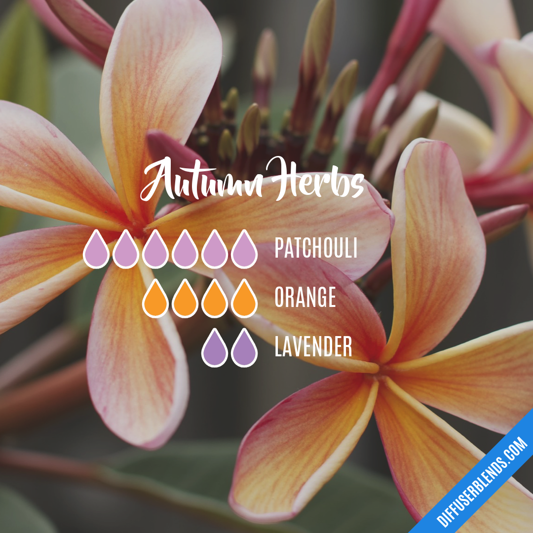 Autumn Herbs — Essential Oil Diffuser Blend