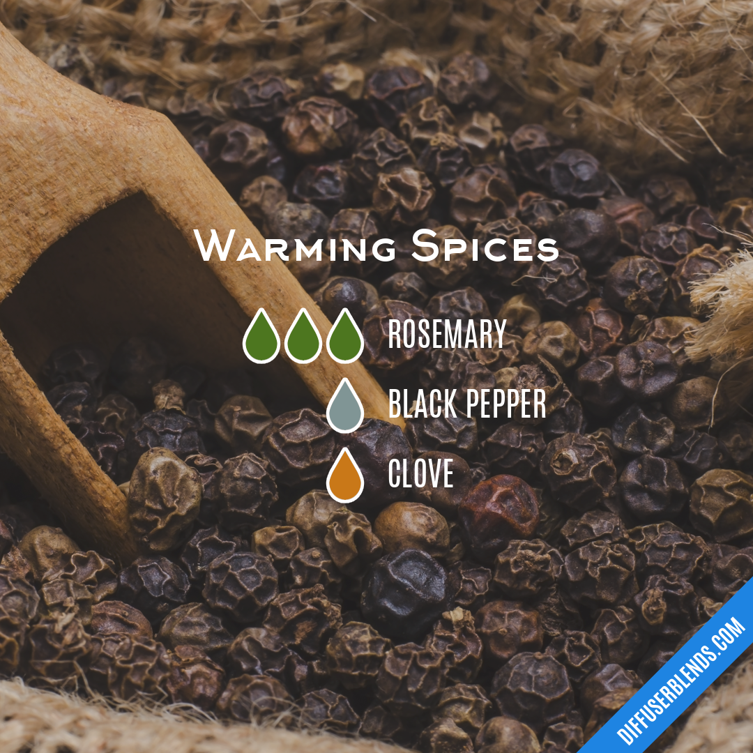 Warming Spices — Essential Oil Diffuser Blend