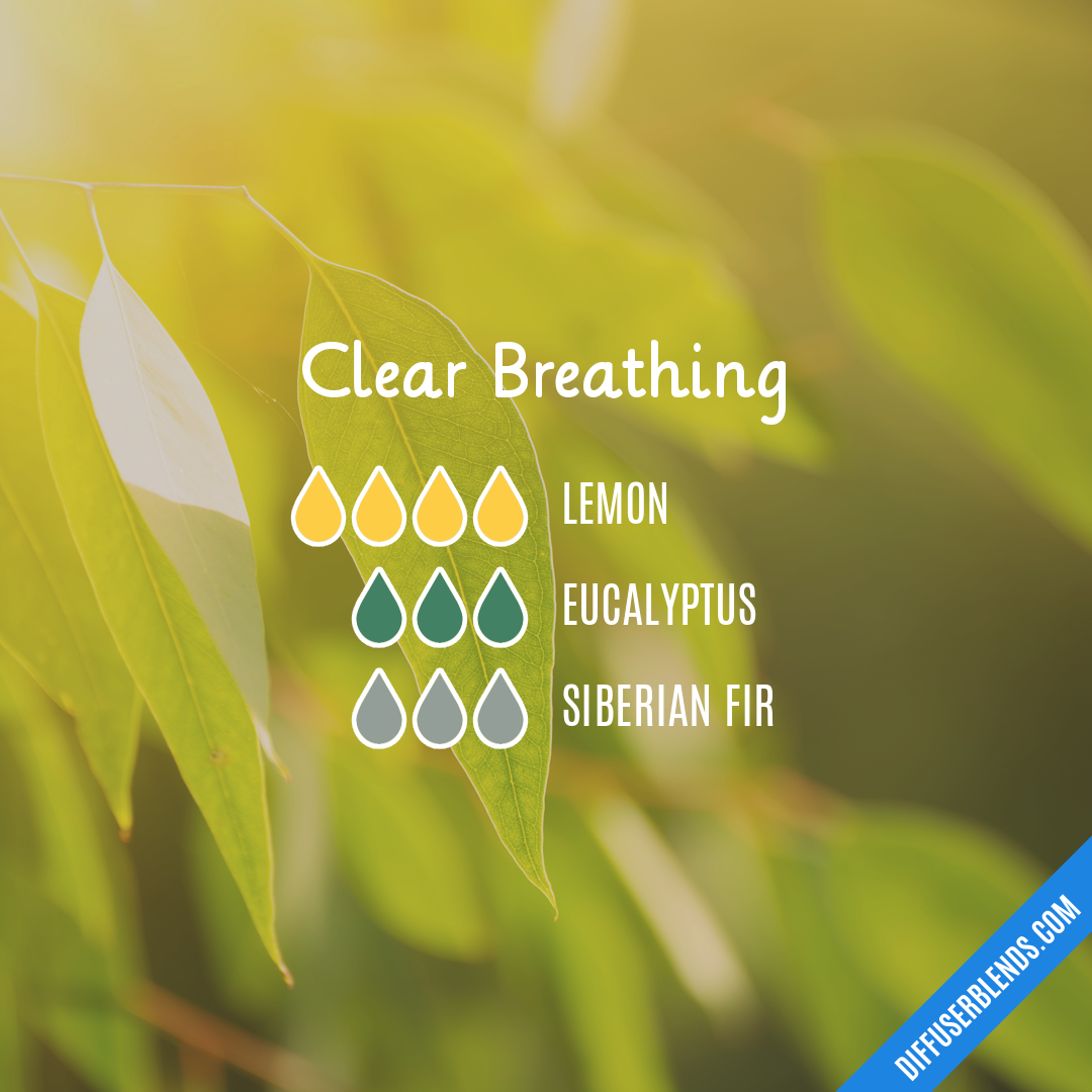 Clear Breathing — Essential Oil Diffuser Blend