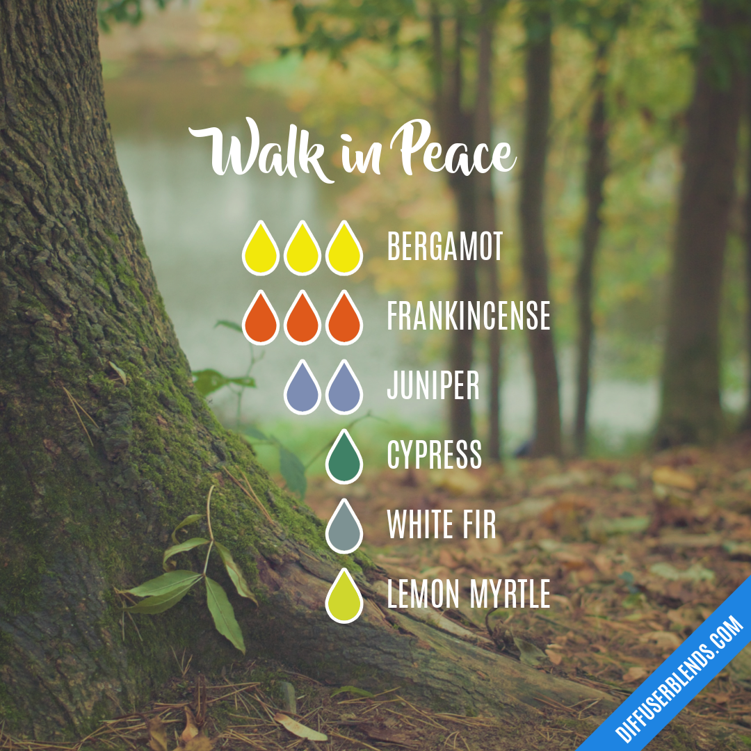 Walk in Peace — Essential Oil Diffuser Blend