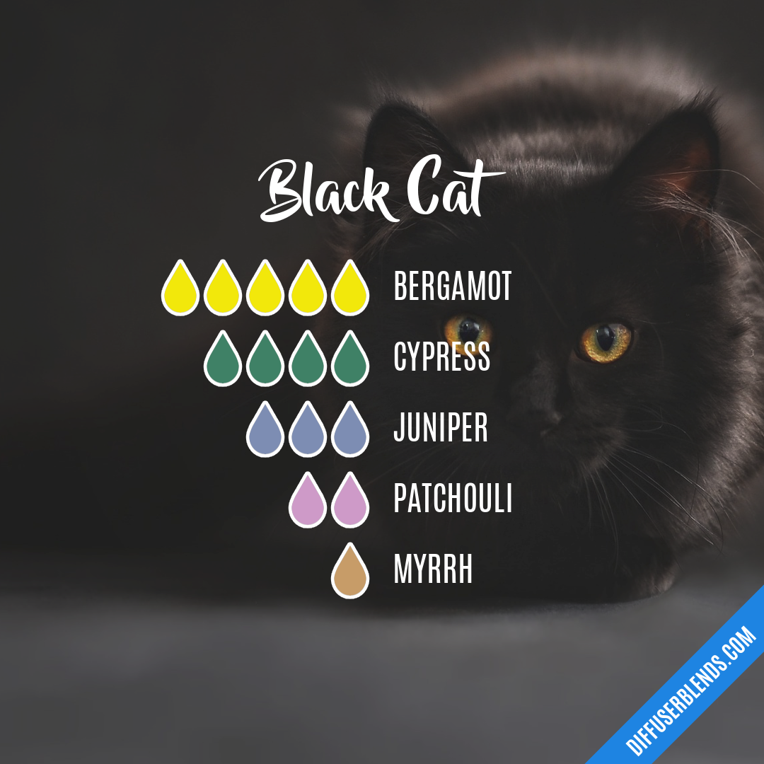 Black Cat — Essential Oil Diffuser Blend