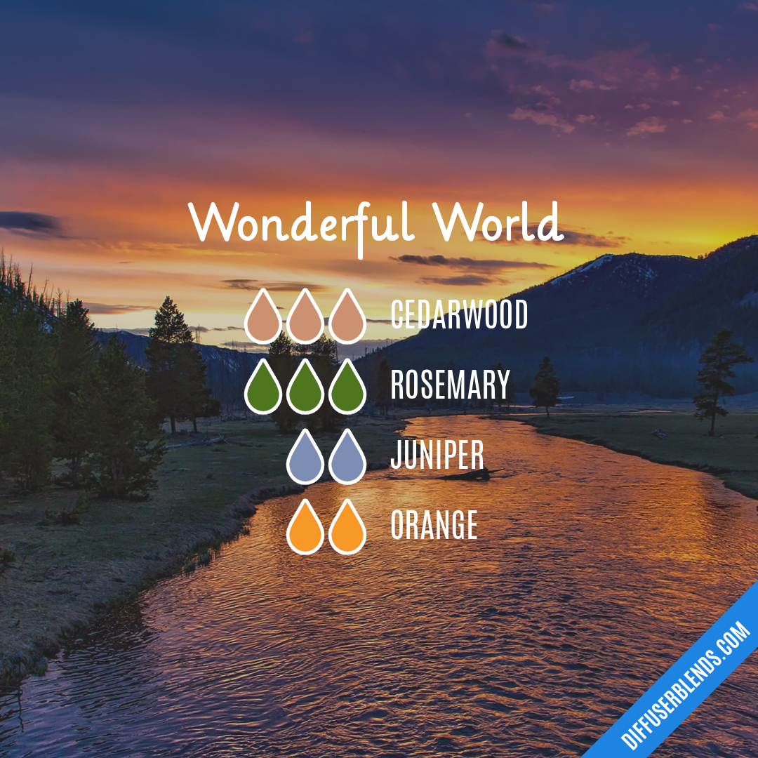 Wonderful World — Essential Oil Diffuser Blend