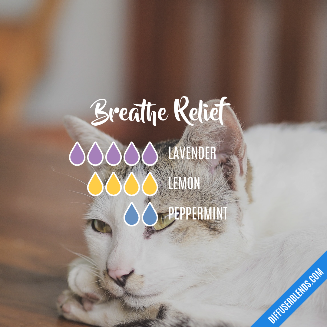 Breathe Relief — Essential Oil Diffuser Blend