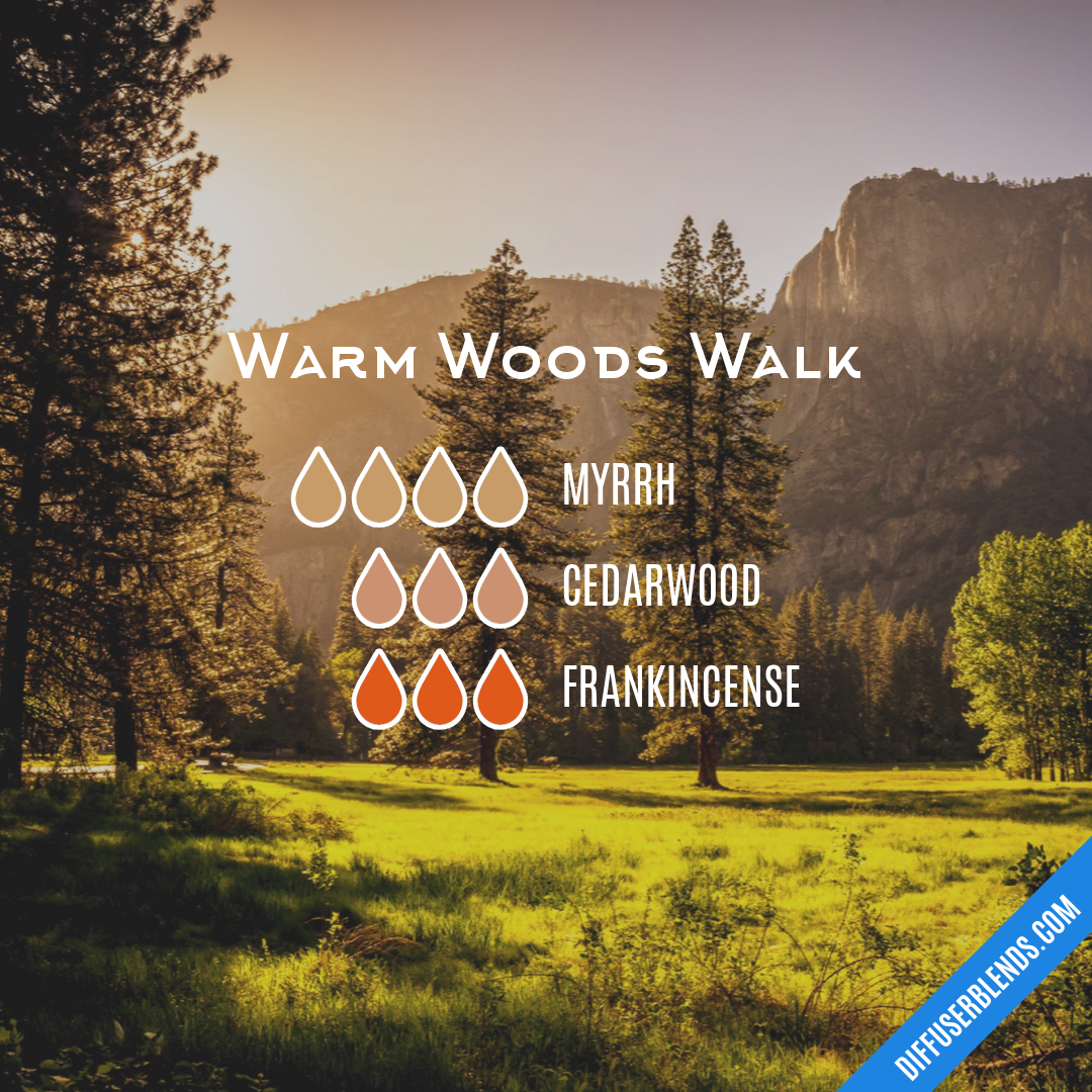 Warm Woods Walk — Essential Oil Diffuser Blend