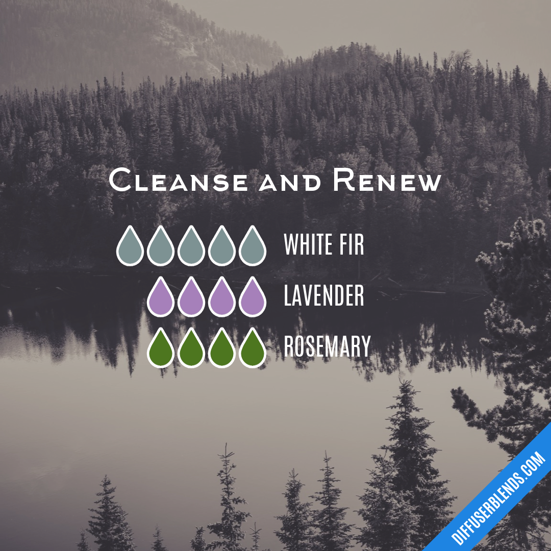 Cleanse and Renew — Essential Oil Diffuser Blend