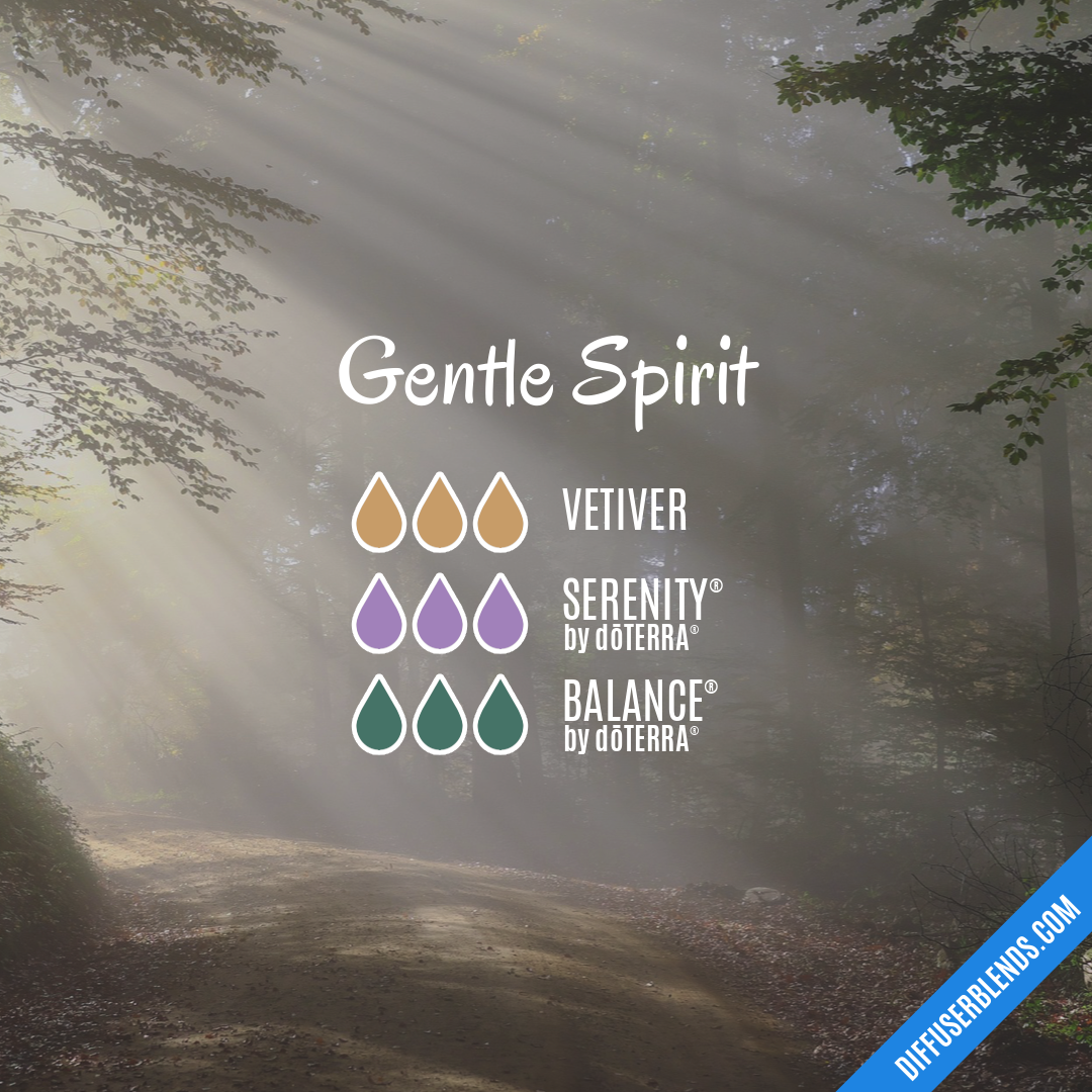 Gentle Spirit — Essential Oil Diffuser Blend