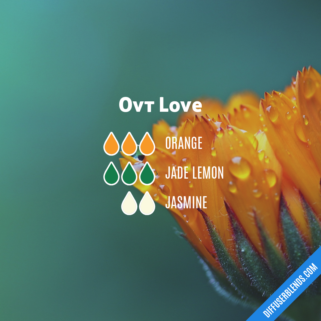 Ovt Love — Essential Oil Diffuser Blend