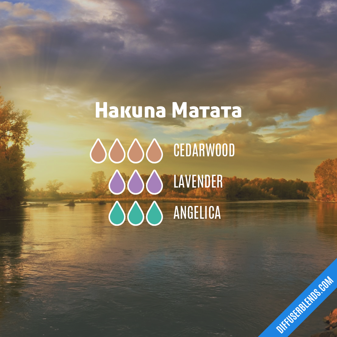 Hakuna Matata — Essential Oil Diffuser Blend