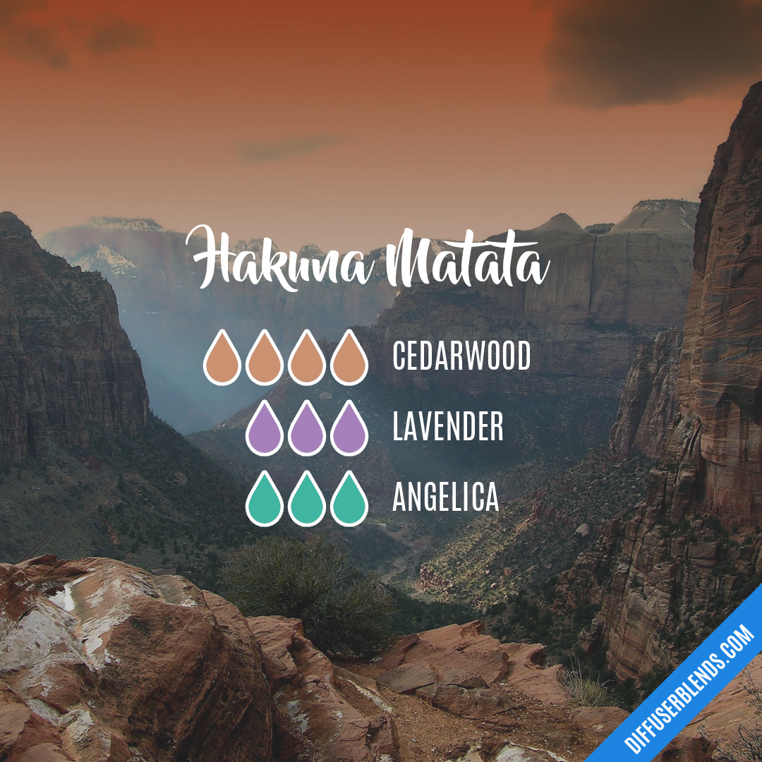 Hakuna Matata — Essential Oil Diffuser Blend