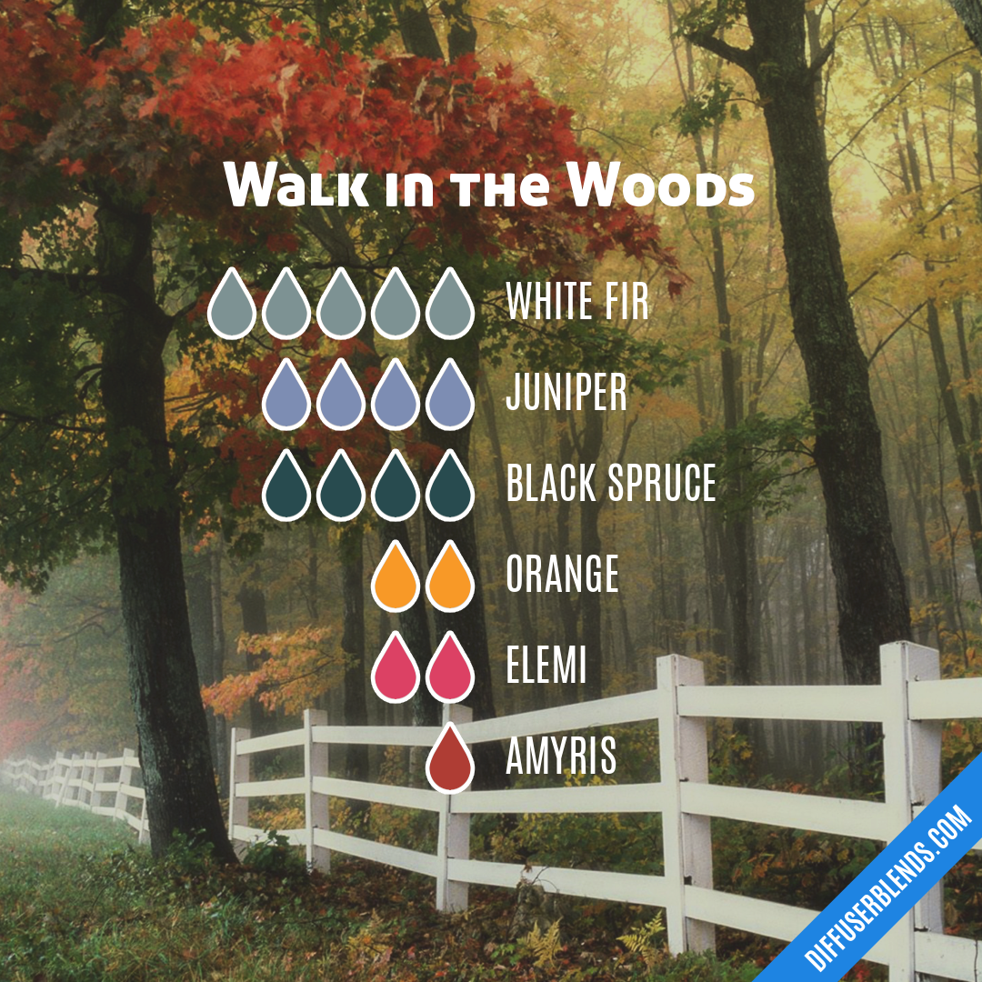 Walk in the Woods — Essential Oil Diffuser Blend